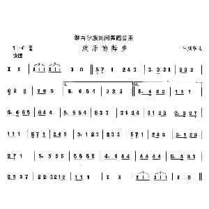 欢乐的舞 维吾尔族舞蹈 中国民族民间舞曲选 王延亭