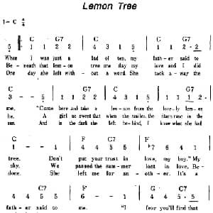 Lemon Tree 美国 _外国歌谱