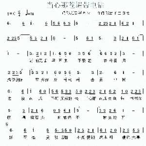 当心那苍蝇带电钻_歌谱投稿_词曲:张宏 张宏