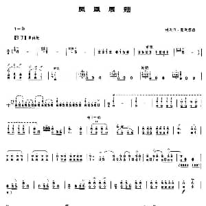 凤凰展翅 笙谱 胡天泉 董洪德