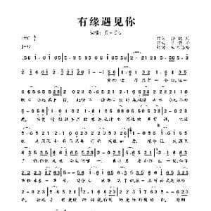 有缘遇见你_歌曲简谱_词曲:徐晓岚 李勇军