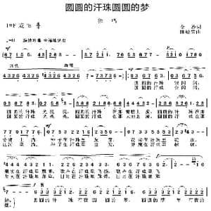 圆圆的汗珠_歌曲简谱_词曲:金沙 陈经荣