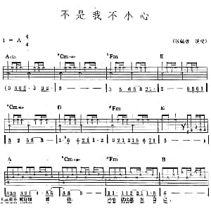 民族吉他弹唱 不是我不小心 吉他谱 张稿哲
