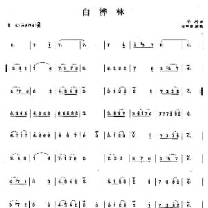 笛子谱 | 白桦林 朴树