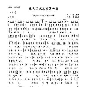 你走了就不要再回头_歌曲简谱_词曲:石满巧 石满巧