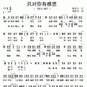 只对你有感觉_通俗唱法乐谱_词曲:张家伟 林俊杰