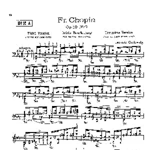 53首以肖邦练习曲为素材而作的练习曲 钢琴谱 里奥鲍尔德 戈多夫斯基